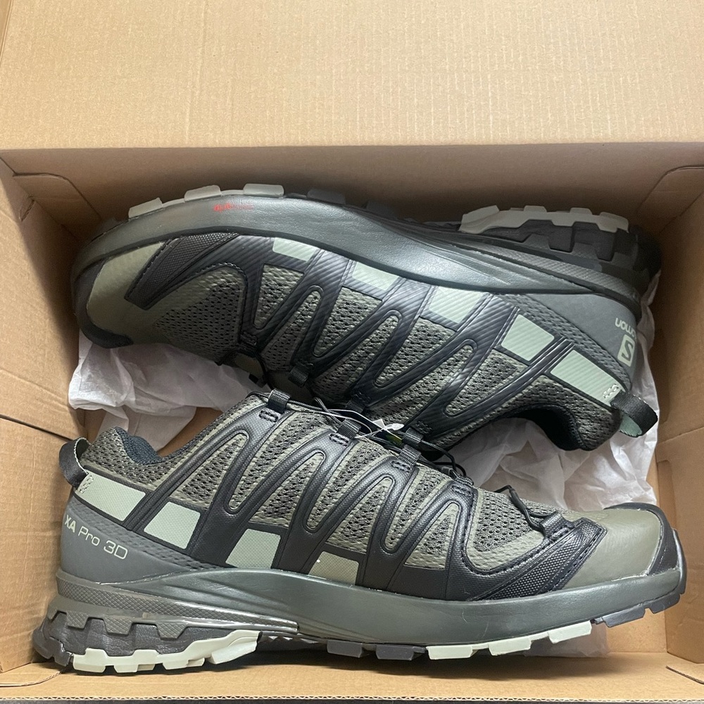 Mens Salomon hiking shoes